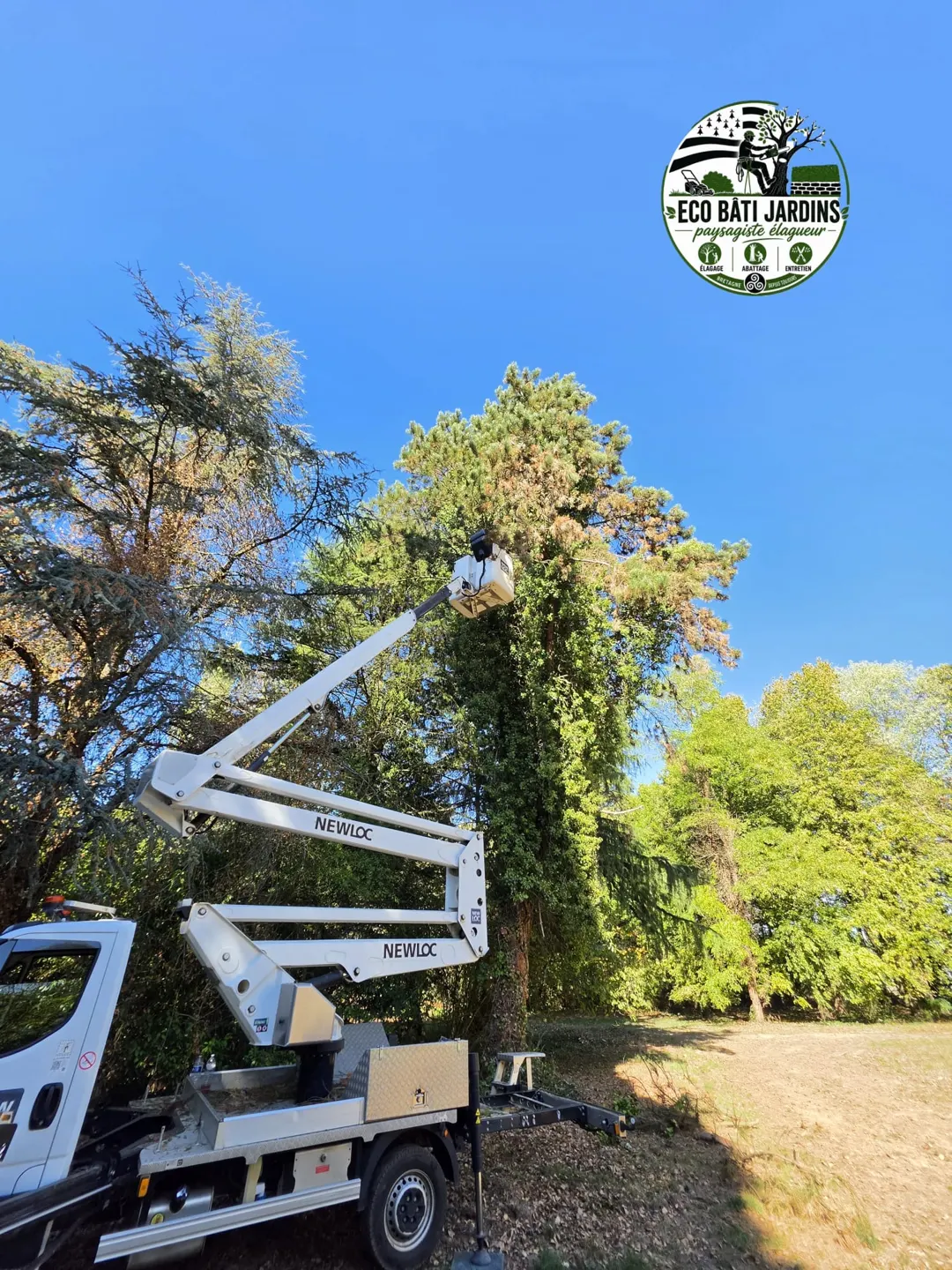 Élagage d’un arbre à la nacelle par Eco Bâti Jardins