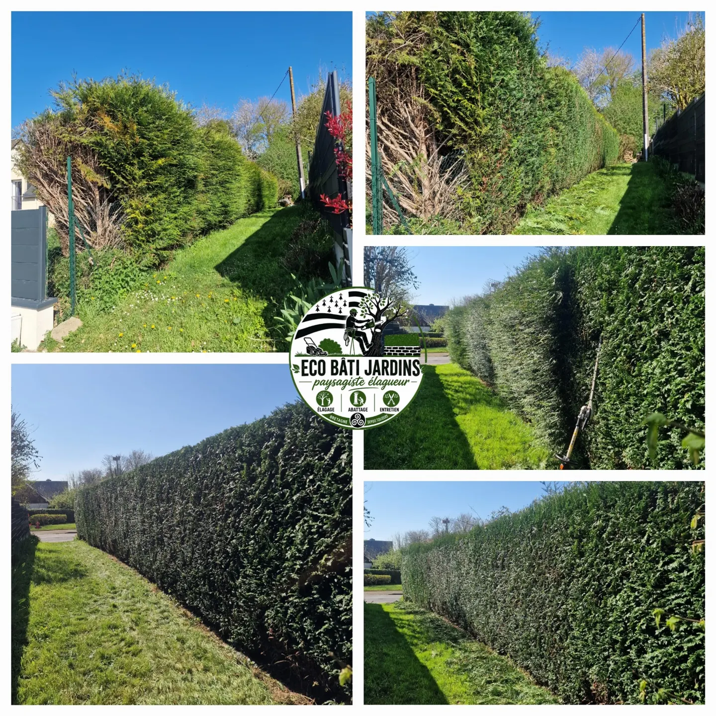 Vue de jardin aménagé